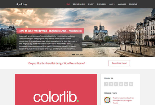 Product picture 20 Free Wordpress Themes